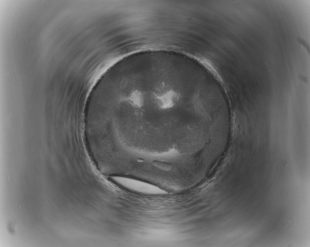 X0000103290895200808291330