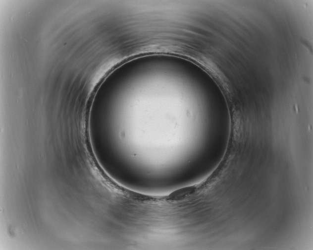 X0000103290896200808291330