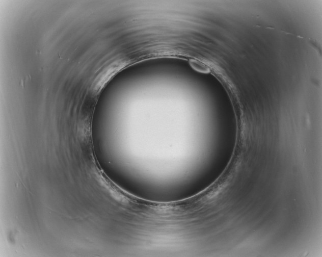 X0000103290897200808291330