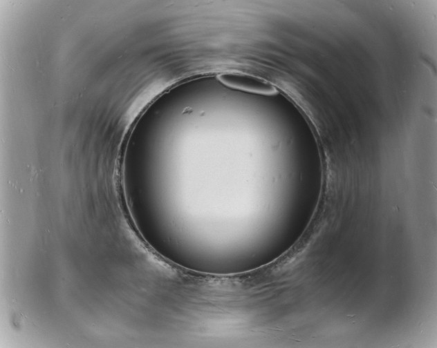 X0000103290901200808291330