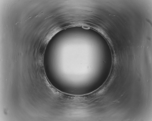 X0000103290905200808291330