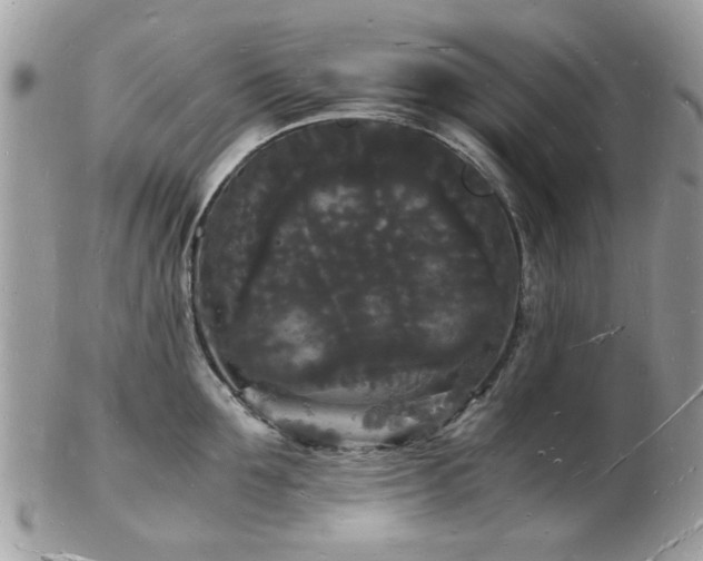 X0000103290907200808291330