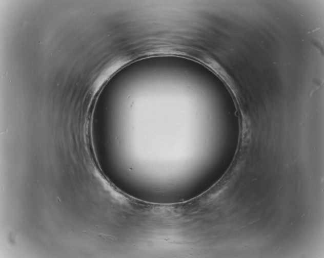 X0000103290909200808291330