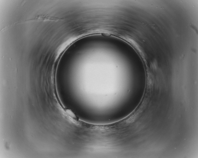 X0000103290910200808291330