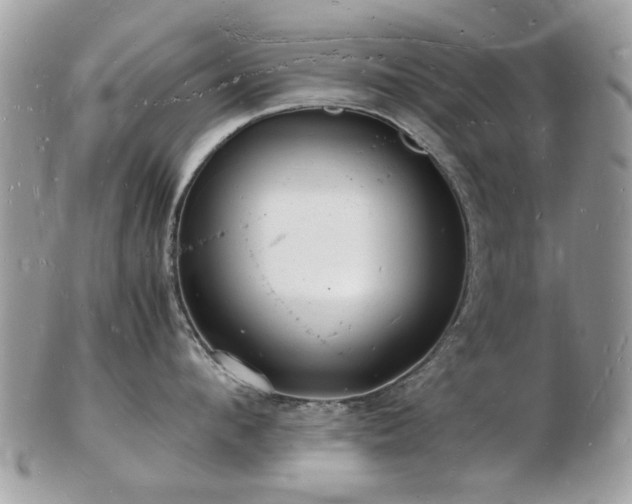 X0000103290912200808291330