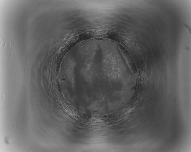 X0000103290913200808291330