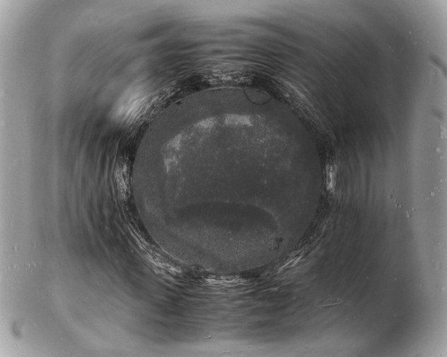 X0000103290915200808291330