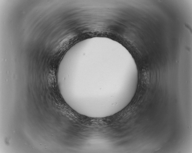X0000103290918200808291330