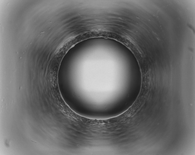 X0000103290919200808291330