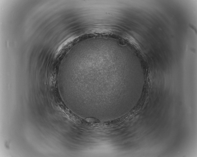 X0000103290920200808291330