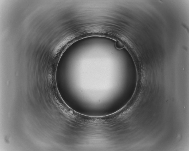 X0000103290922200808291330