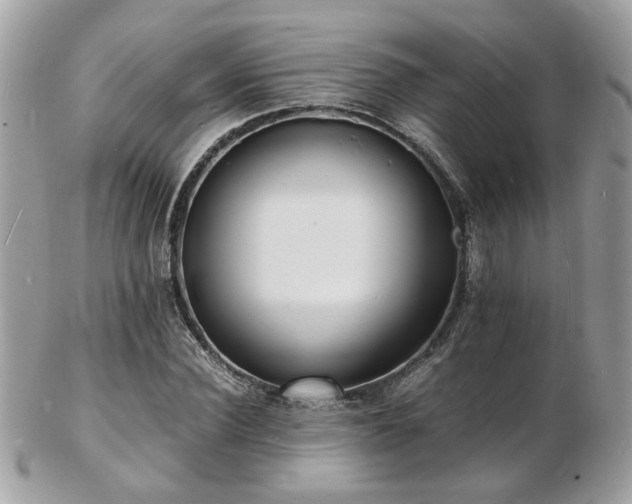 X0000103290924200808291330
