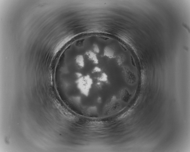 X0000103290925200808291330