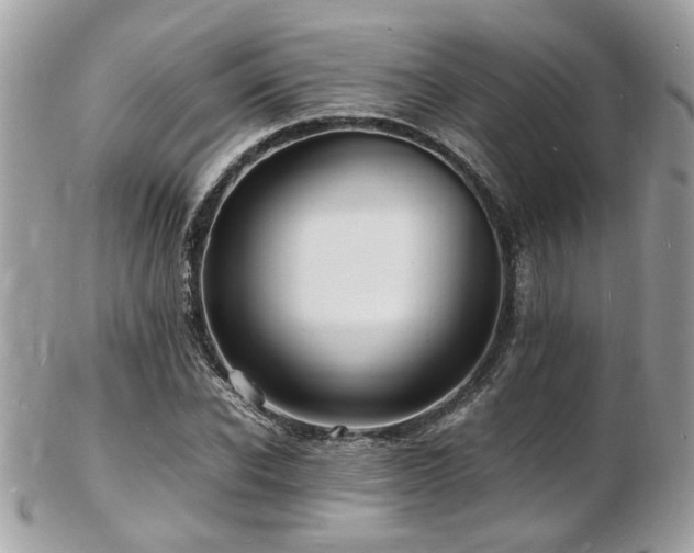X0000103290926200808291330