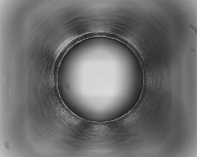 X0000103290927200808291330
