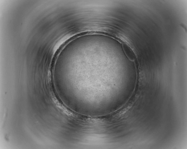 X0000103290928200808291330