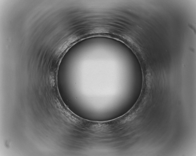 X0000103290929200808291330