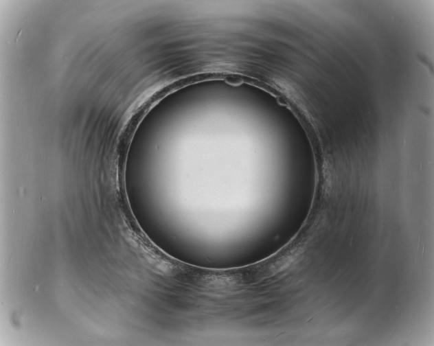 X0000103290931200808291330