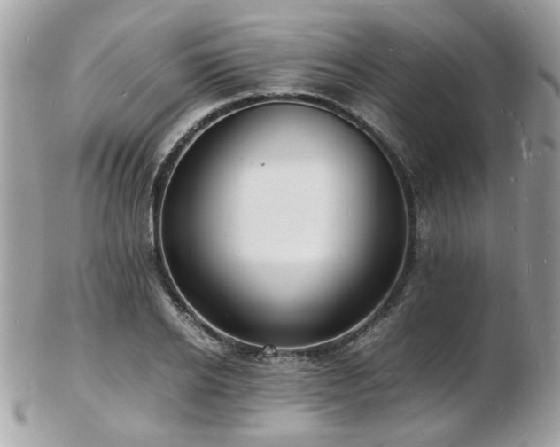 X0000103290934200808291330