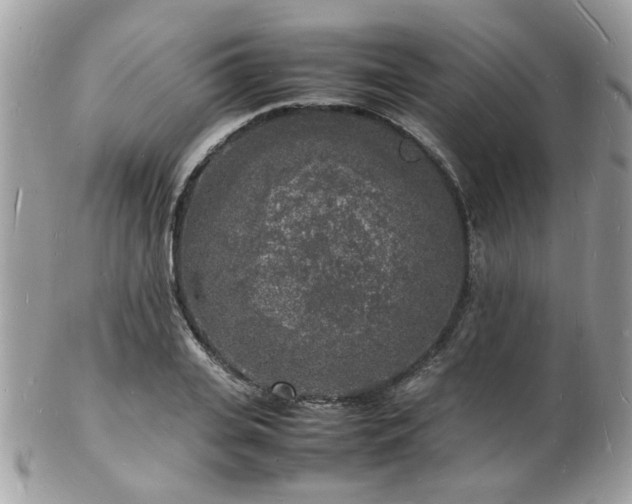 X0000103290935200808291330