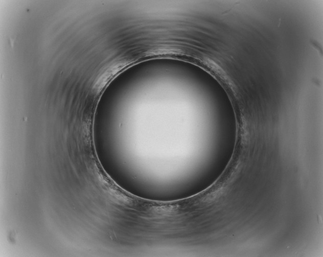 X0000103290937200808291330