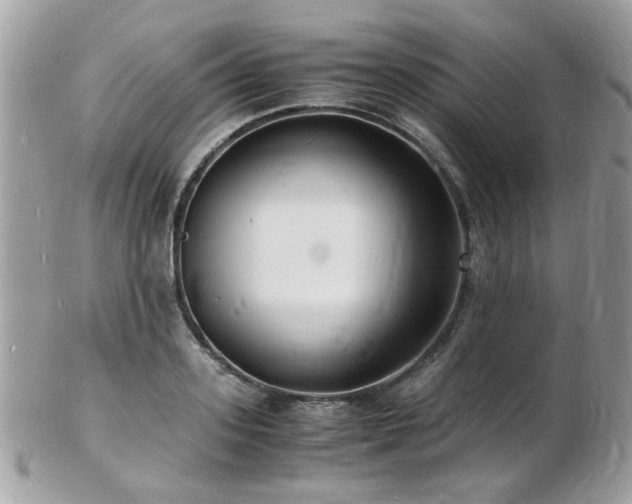 X0000103290939200808291330