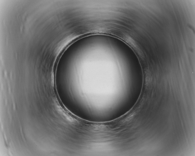X0000103290940200808291330