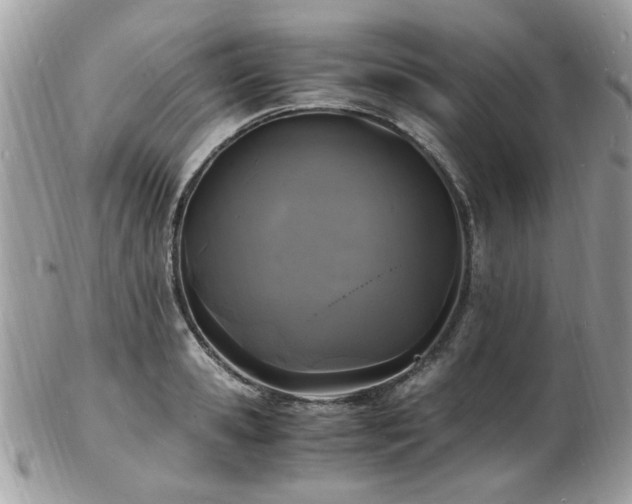 X0000103290941200808291330