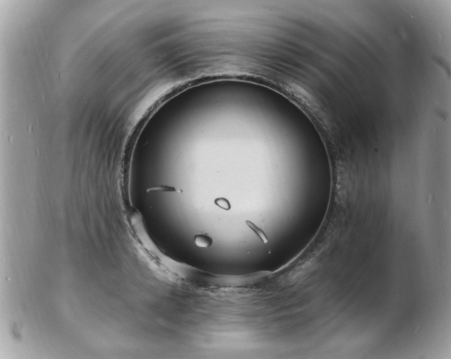 X0000103290942200808291330
