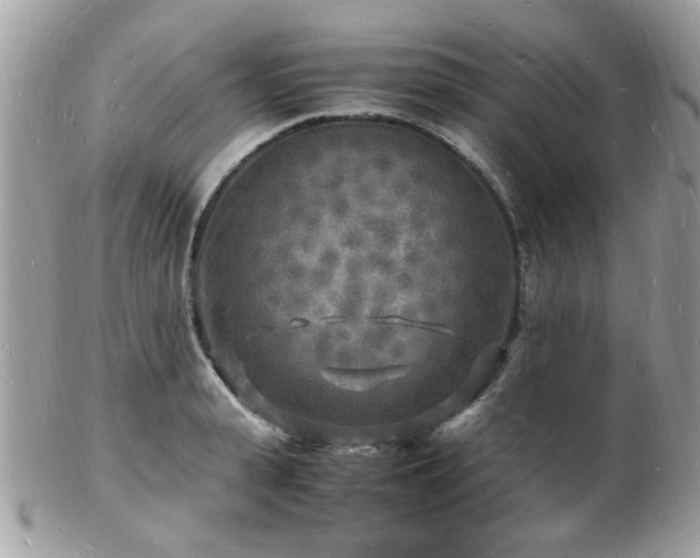 X0000103290943200808291330