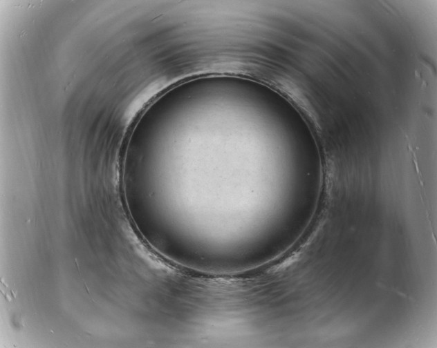 X0000103290944200808291330