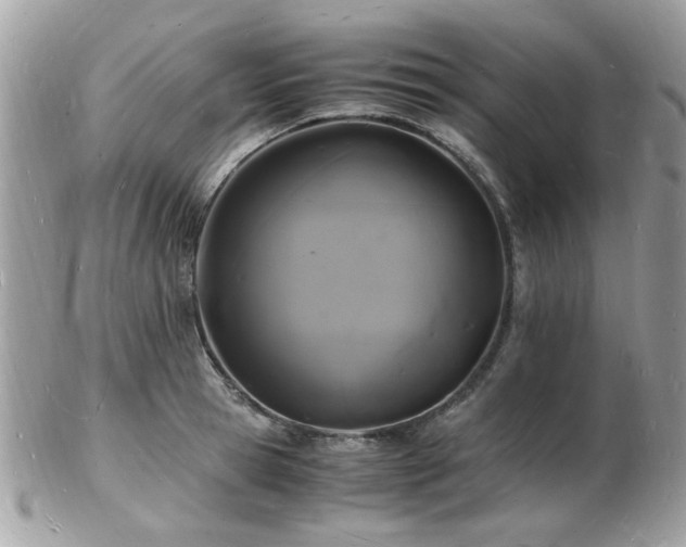 X0000103290945200808291330