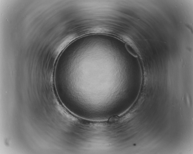 X0000103290946200808291330