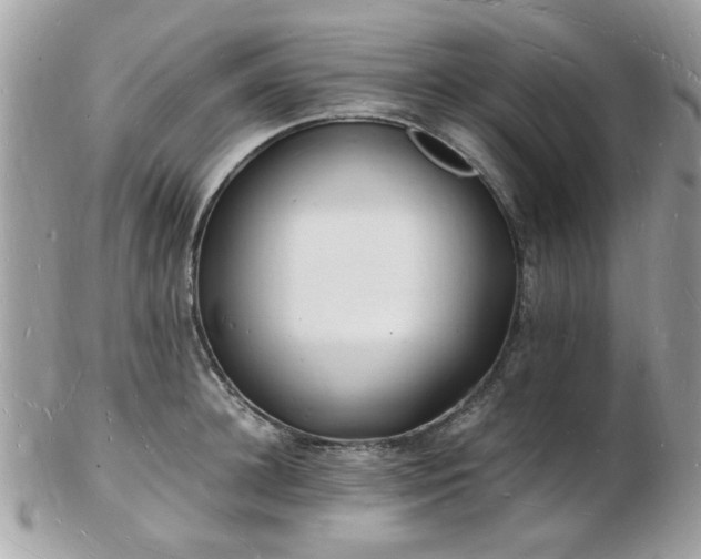 X0000103290948200808291330