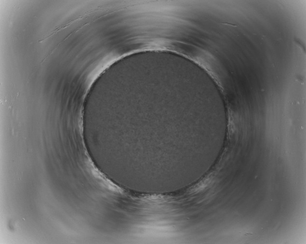 X0000103290950200808291330
