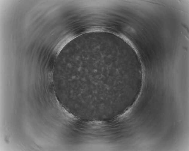 X0000103290953200808291330