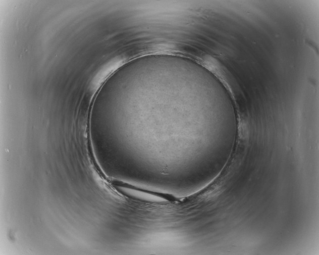 X0000103290954200808291330