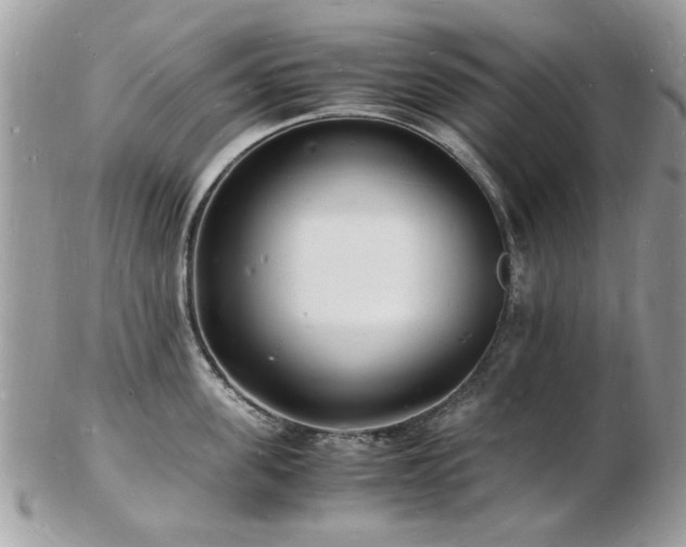 X0000103290955200808291330