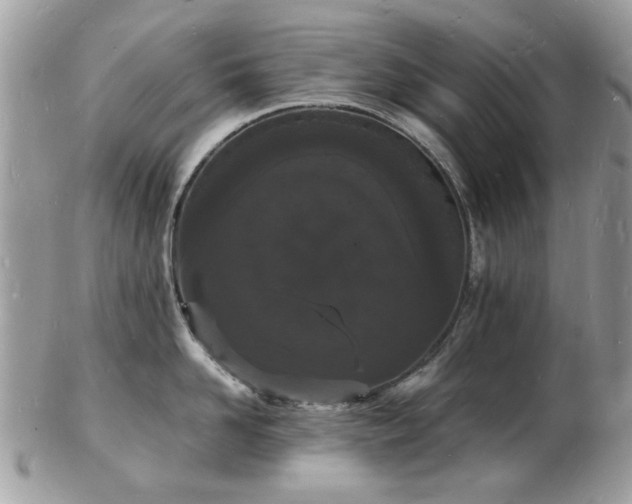 X0000103290958200808291330