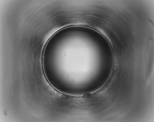 X0000103290959200808291330