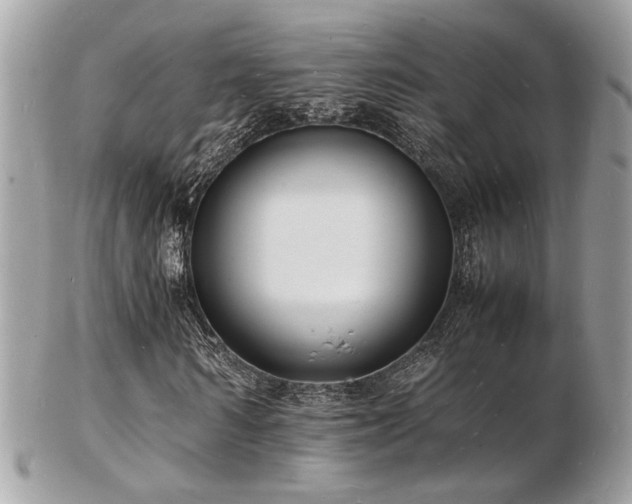 X0000103290962200808291330