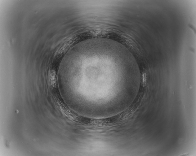 X0000103290963200808291330