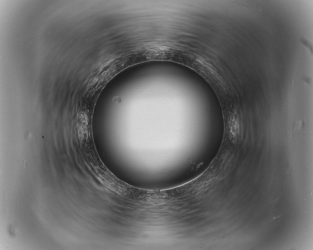 X0000103290964200808291330