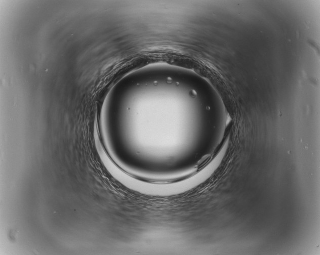 X0000103290965200808291330