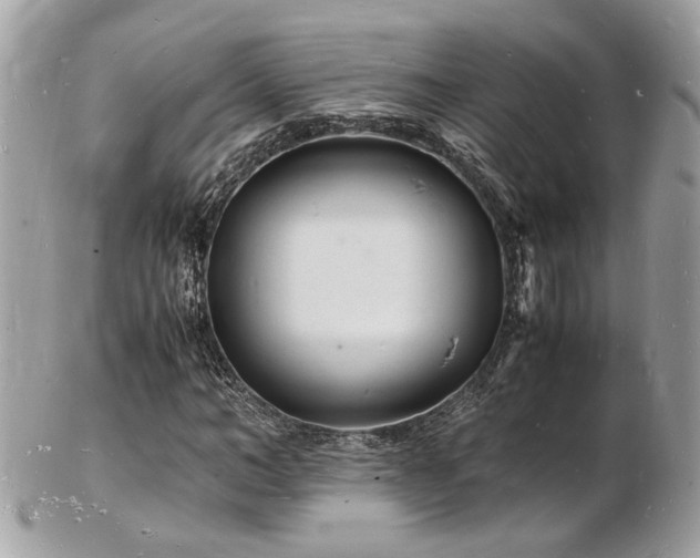 X0000103290966200808291330