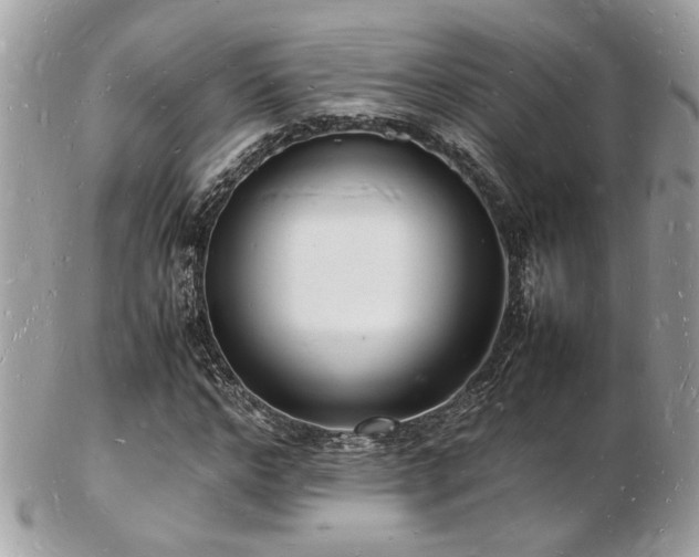 X0000103290968200808291329