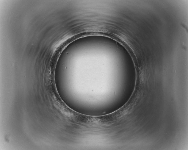 X0000103290971200808291329