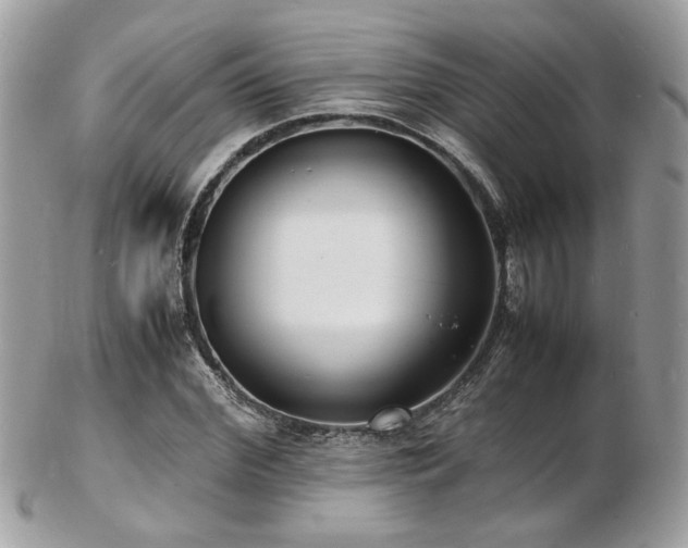 X0000103290972200808291329