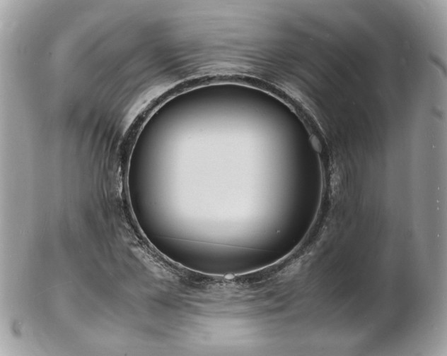 X0000103290973200808291329