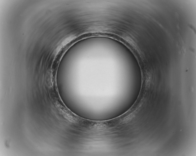 X0000103290974200808291329